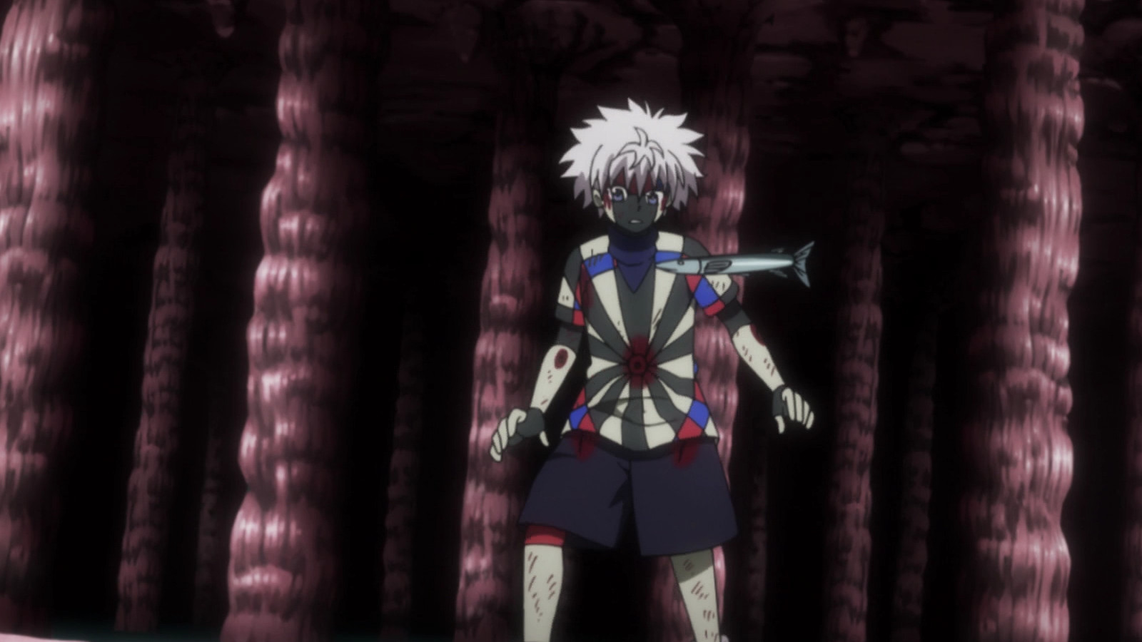 Prime Video: Hunter X Hunter Saison 3