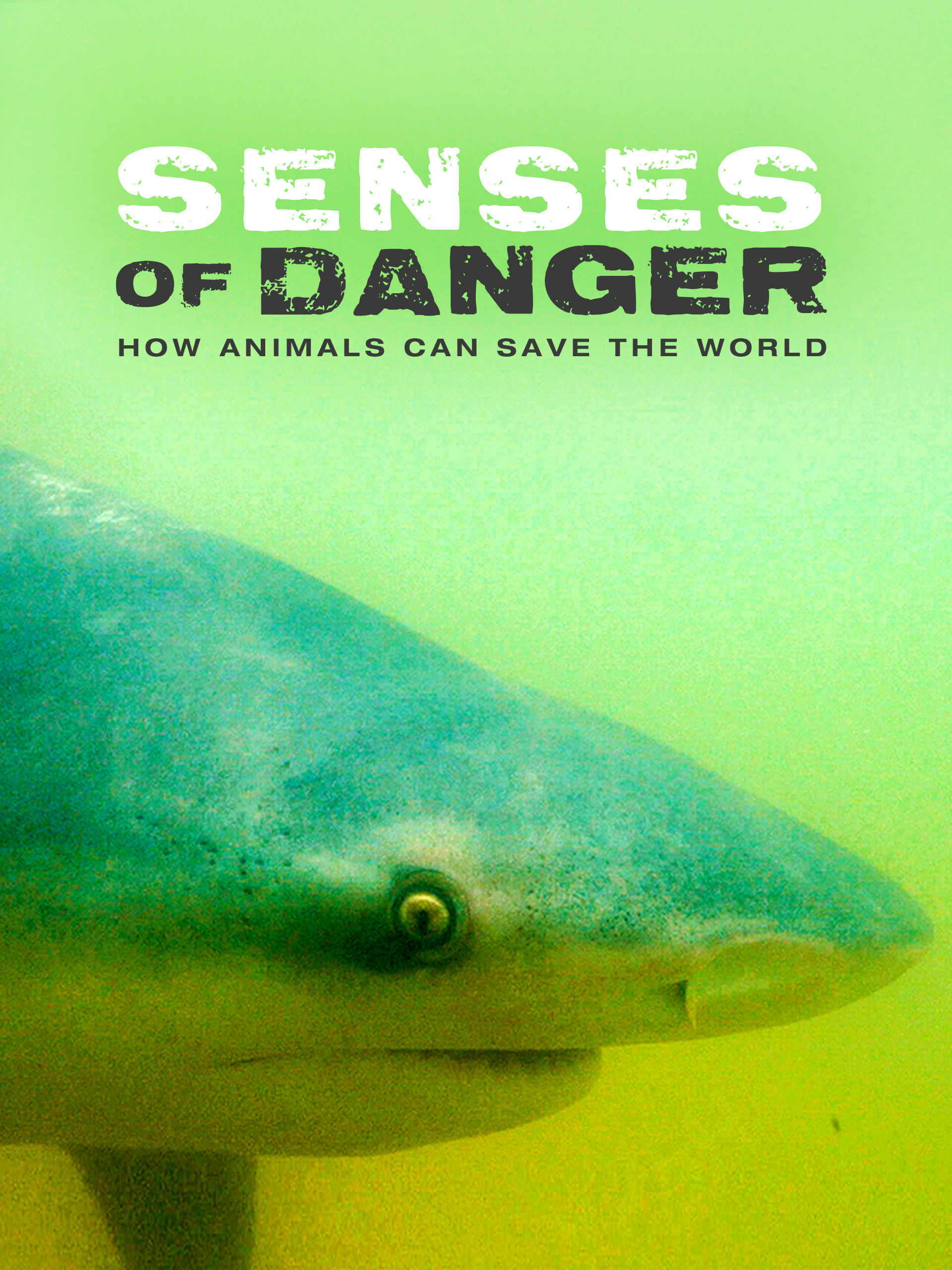 Prime Video Senses of Danger how animals can save the world