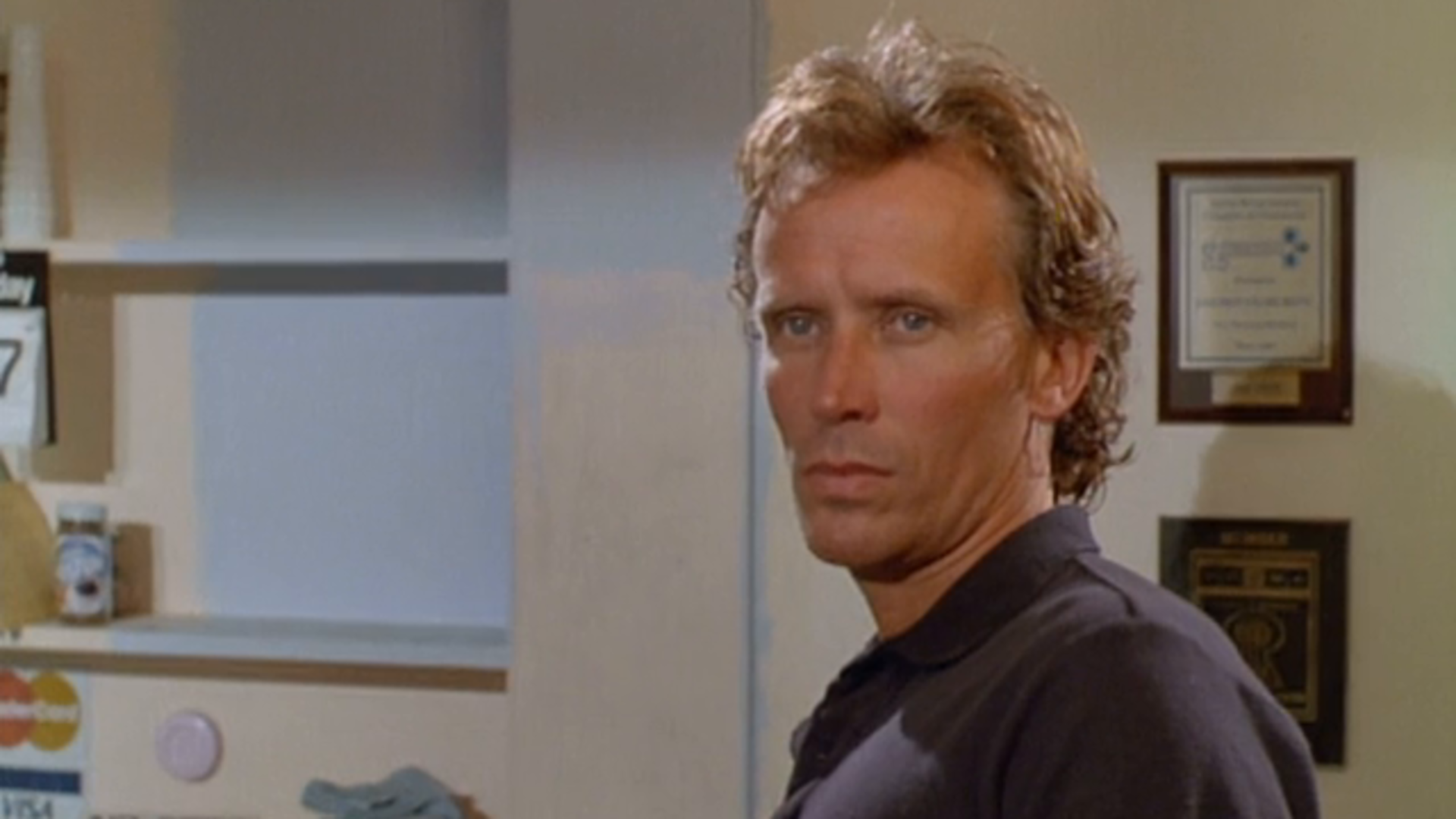 Watch Cat Chaser Prime Video