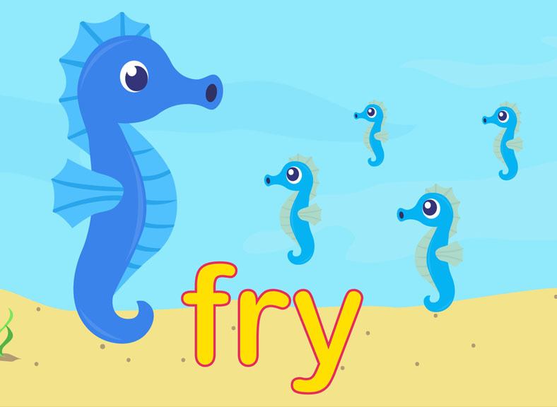 Prime Video Number Zoo