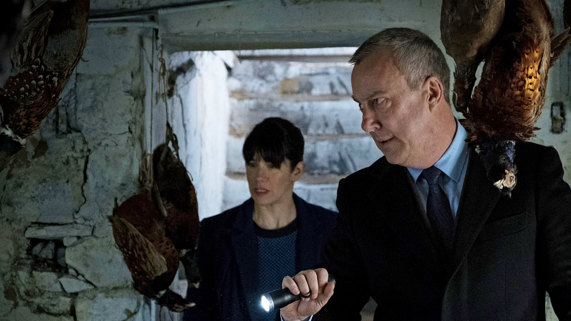 Inspector Banks - Staffel 5 [dt./OV] : Stephen Tompkinson, Lorraine ...