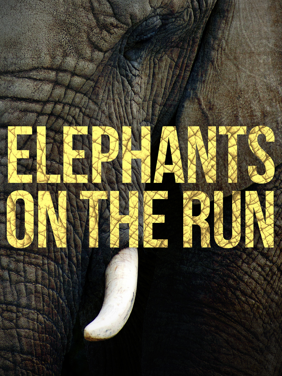Prime Video Elephants on the Run