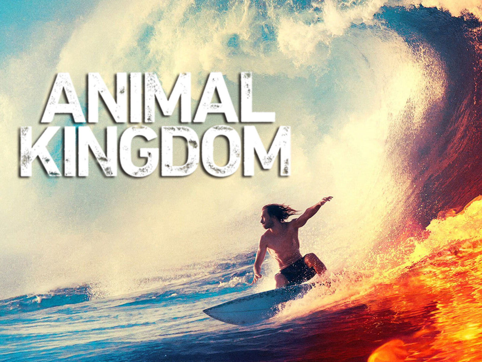 Prime Video Animal Kingdom