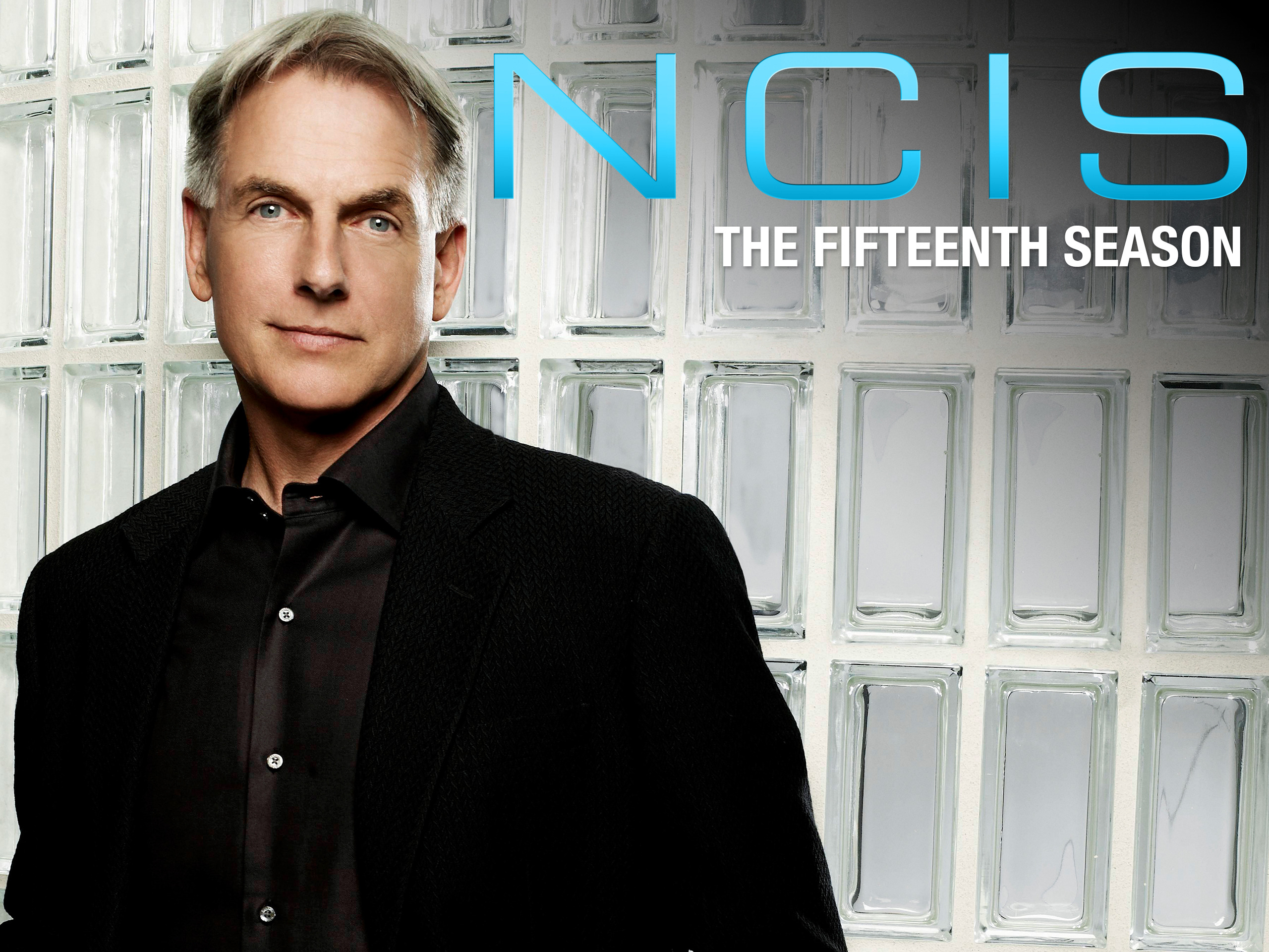 Prime Video Ncis ネイビー犯罪捜査班 シーズン14 字幕版