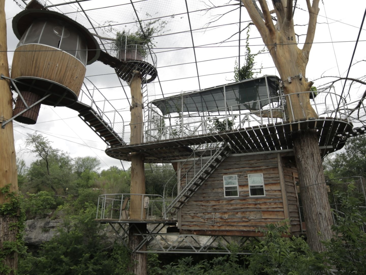 Prime Video Treehouse Masters Season 7