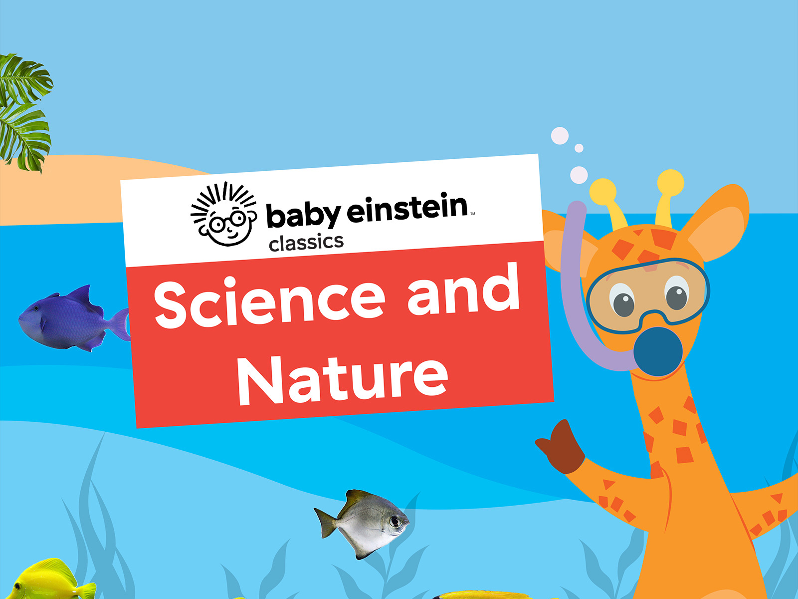 Prime Video Baby Einstein Classics
