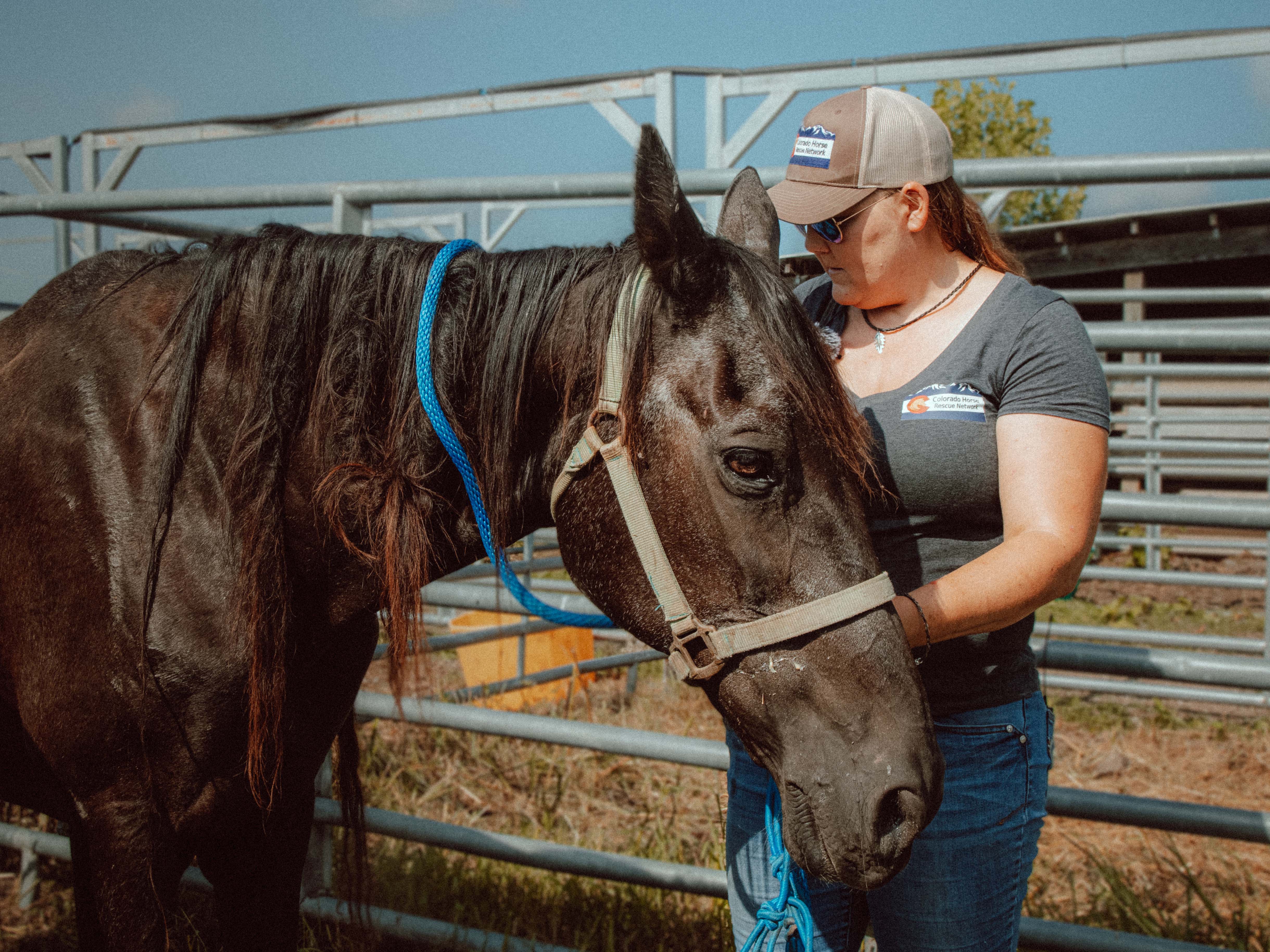 Prime Video Horse Rescue Heroes
