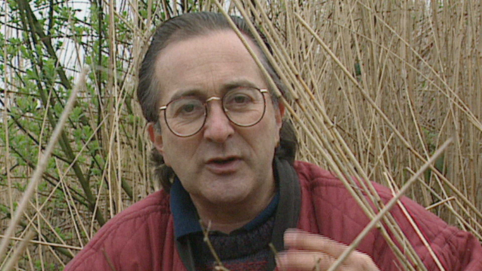 Watch Time Team Prime Video