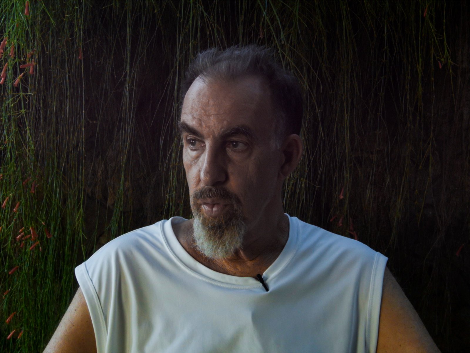 Prime Video Painting with JohnSeason 1