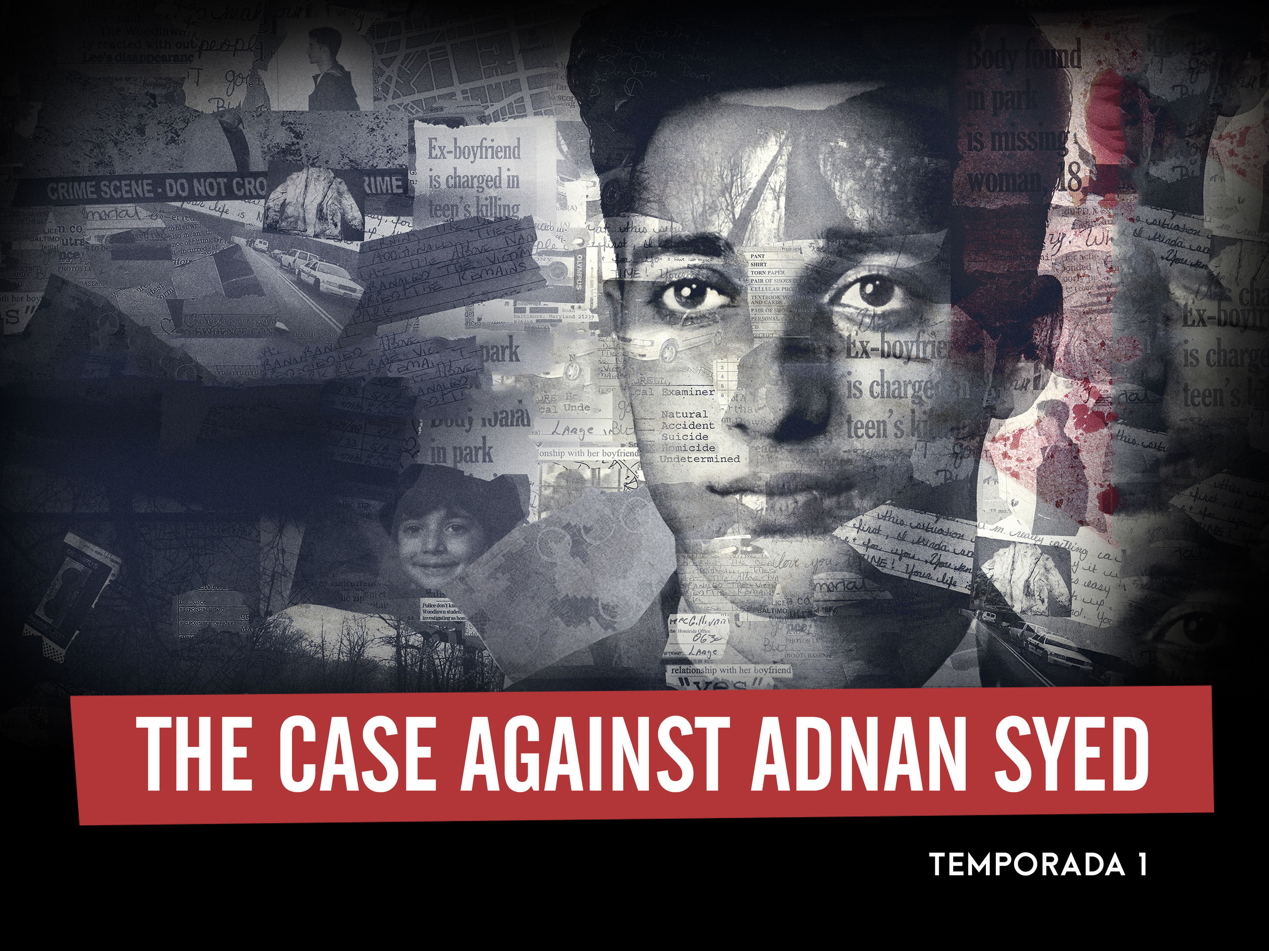 Prime Video The Case Against Adnan SyedThe Case Against Adnan Syed