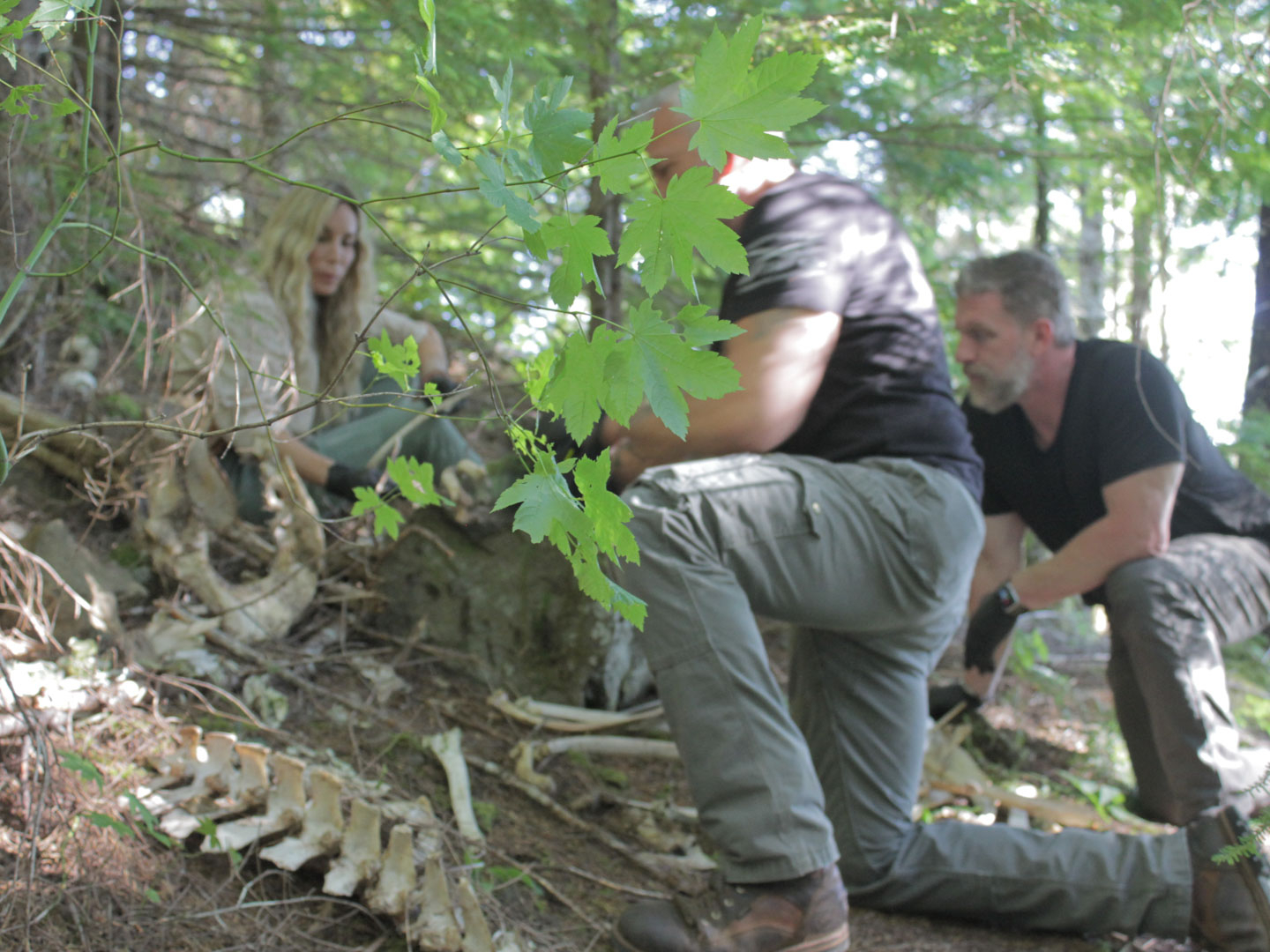 Prime Video: Expedition Bigfoot - Season 3