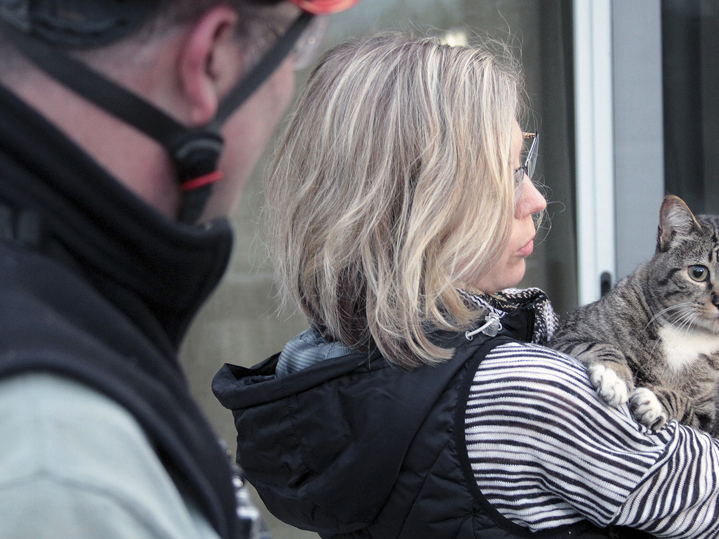 Prime Video Treetop Cat Rescue Season 1