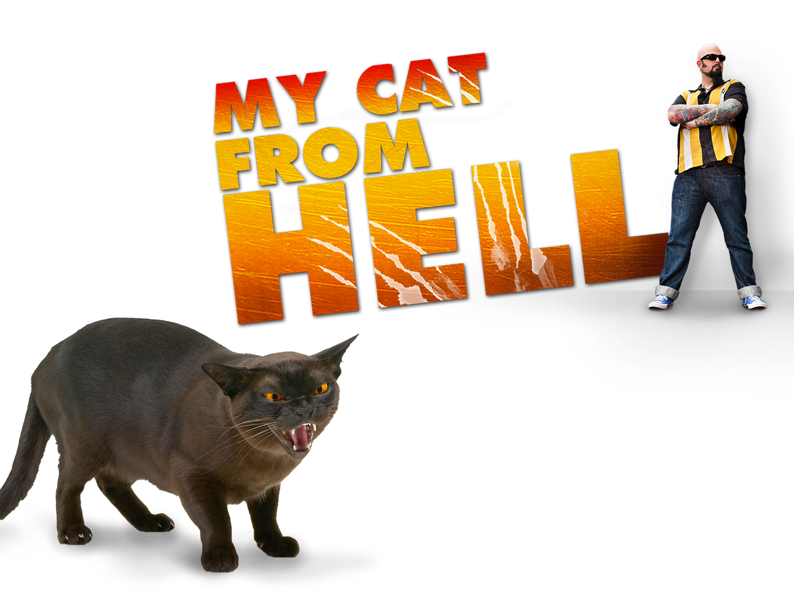 Prime Video My Cat From Hell Season 7