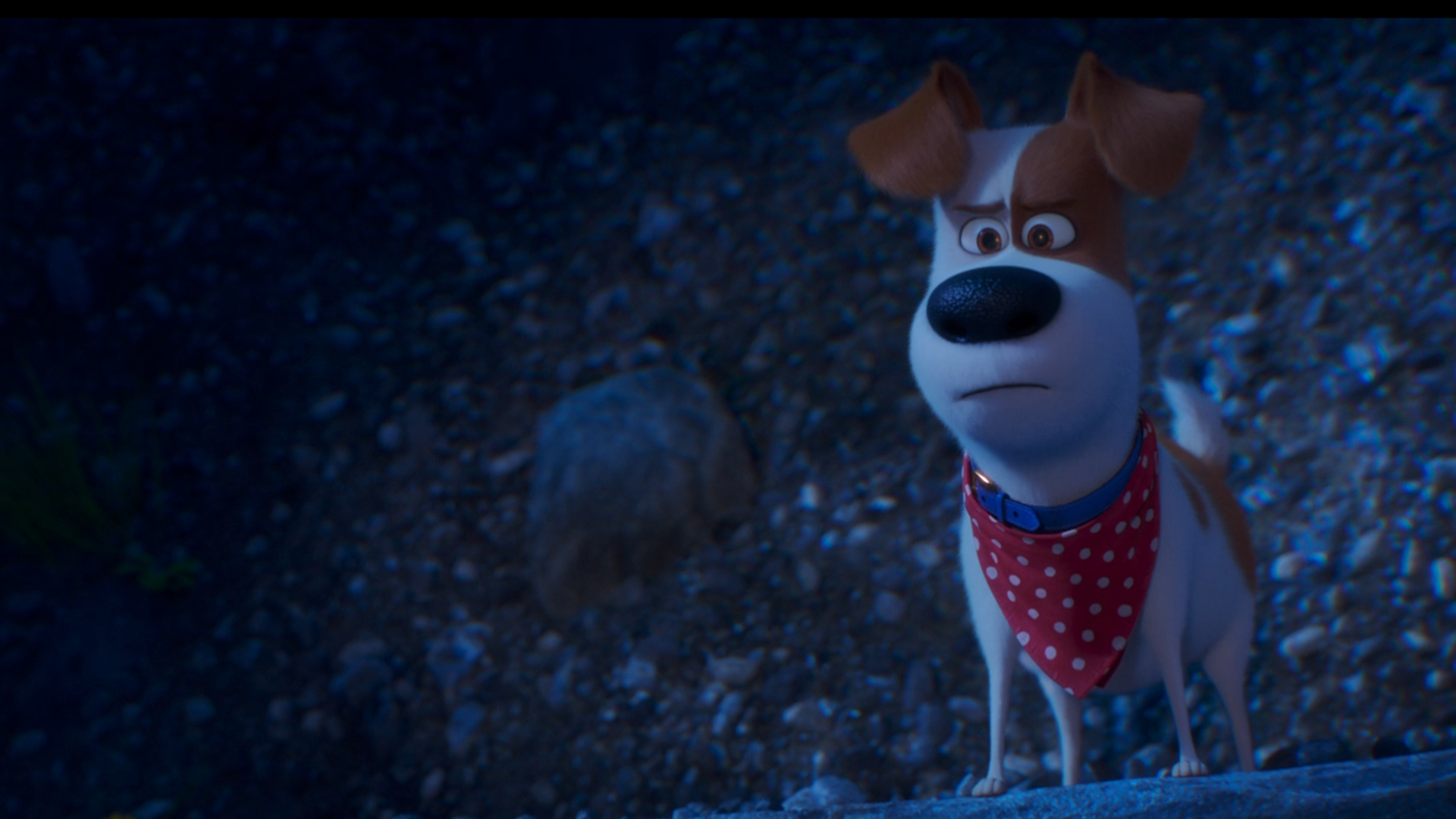 secret life of pets 2 streaming australia