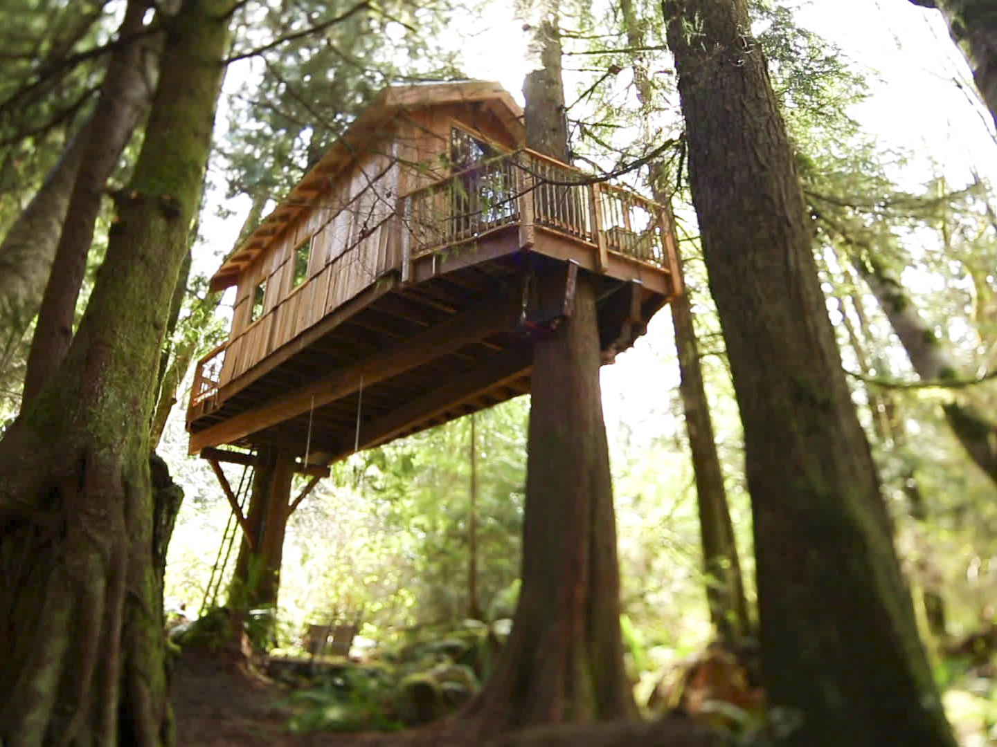 Prime Video Treehouse Masters Season 5