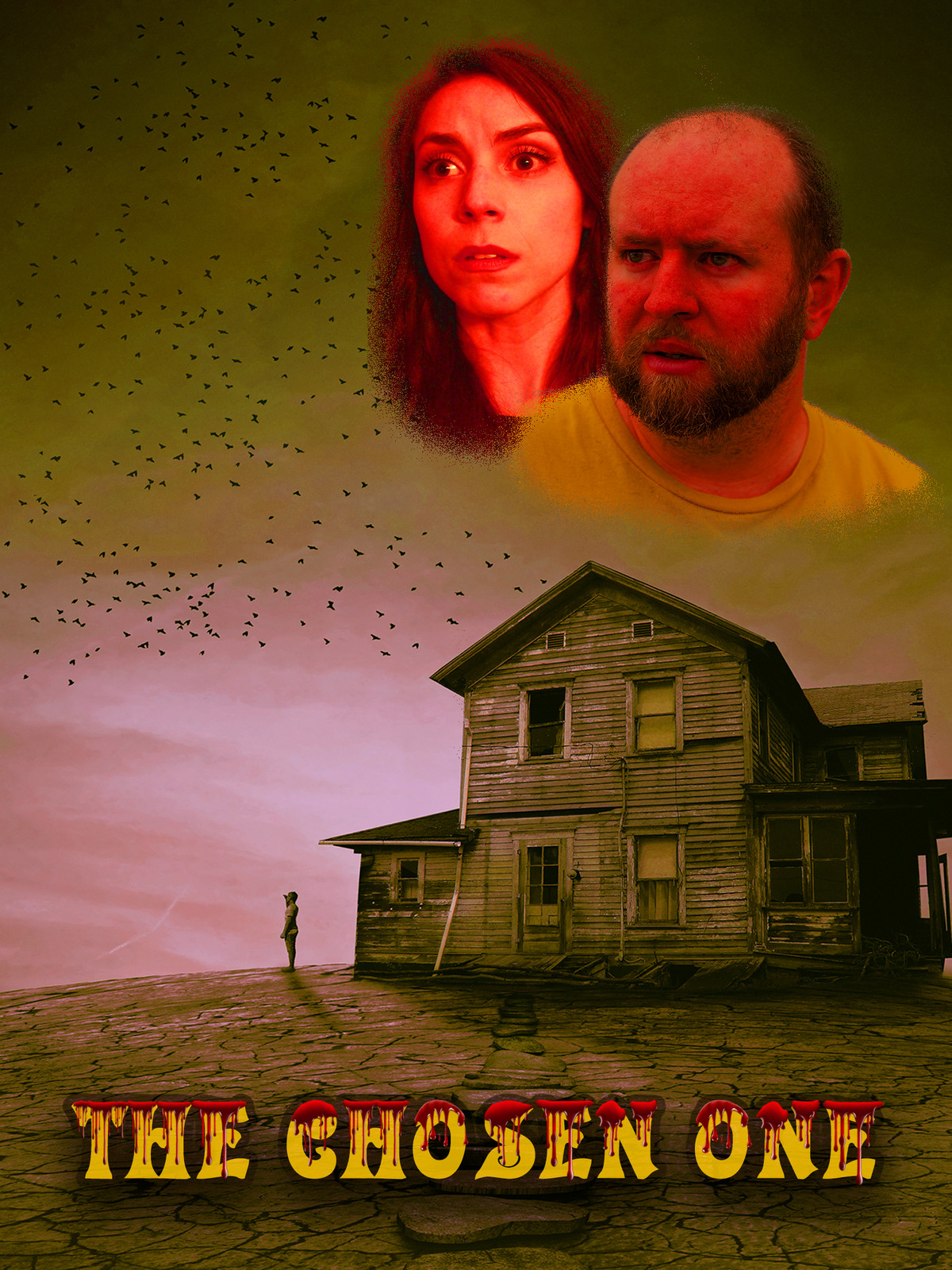 chosen one shadow the hedgehog