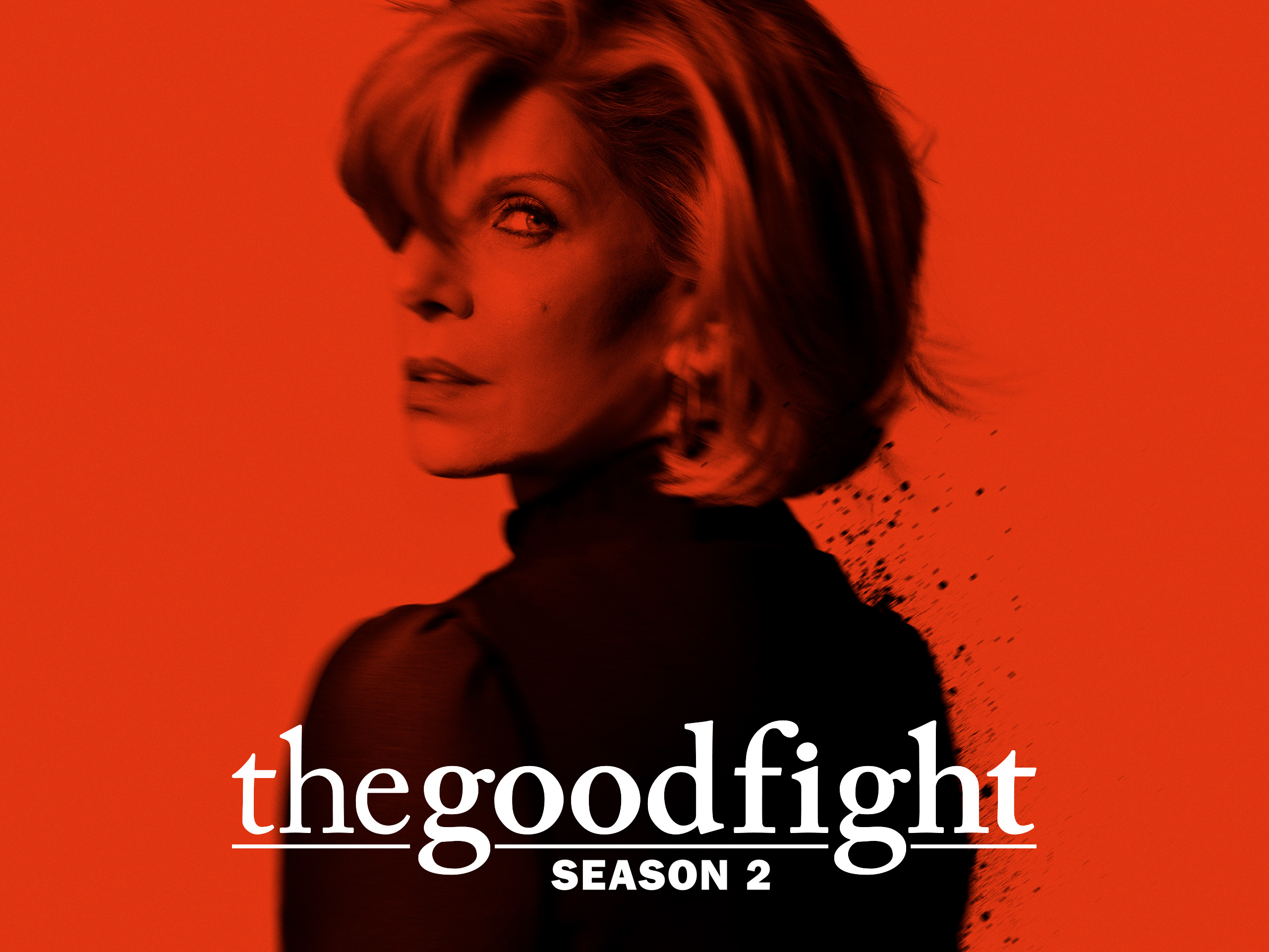 Erica Jong'S Health: Fighting The Good Fight - oibwqlp