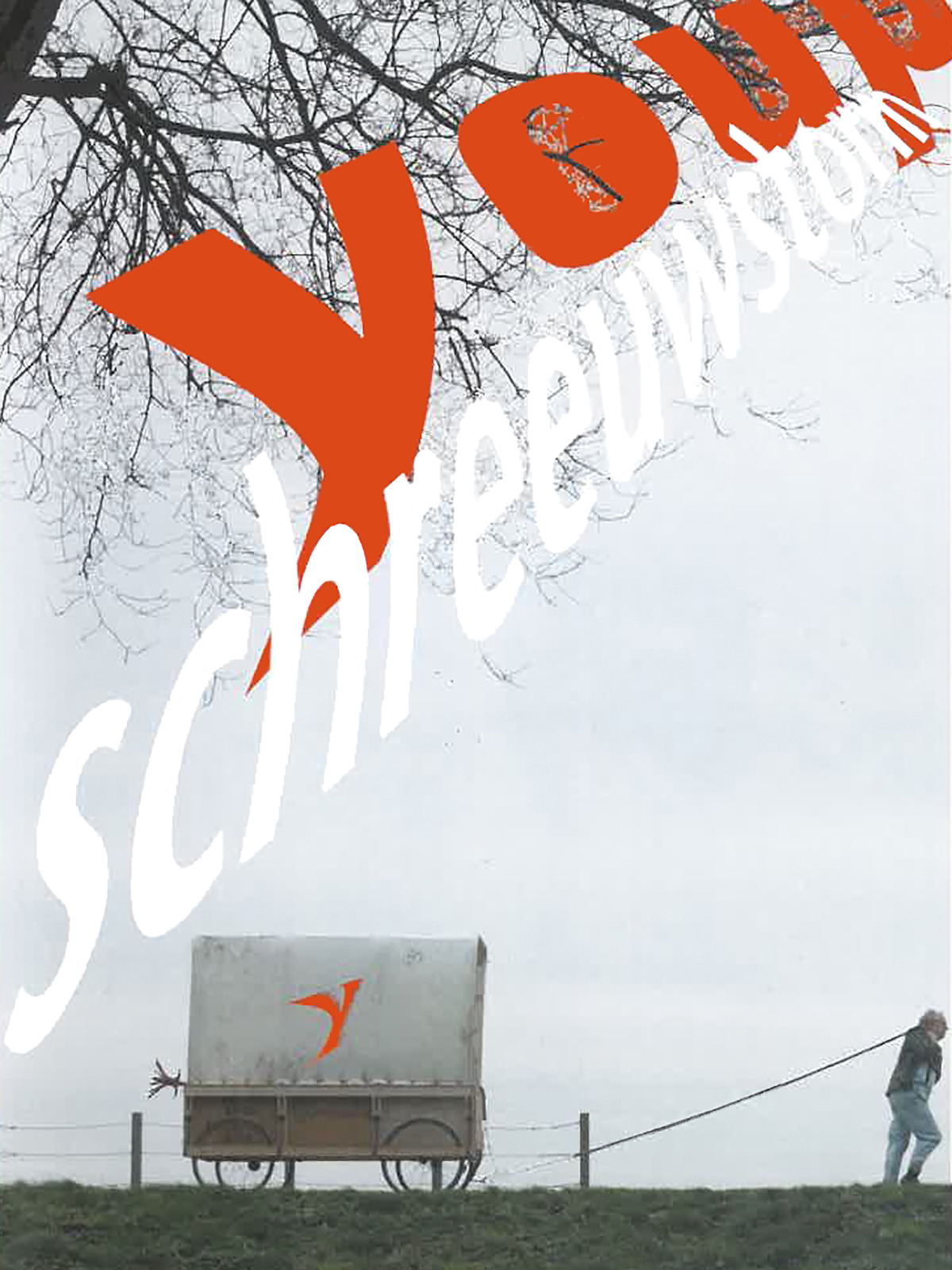 Prime Video: Youp van 't Hek - Schreeuwstorm