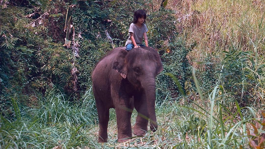 Prime Video Lucky El Elefante De La Suerte