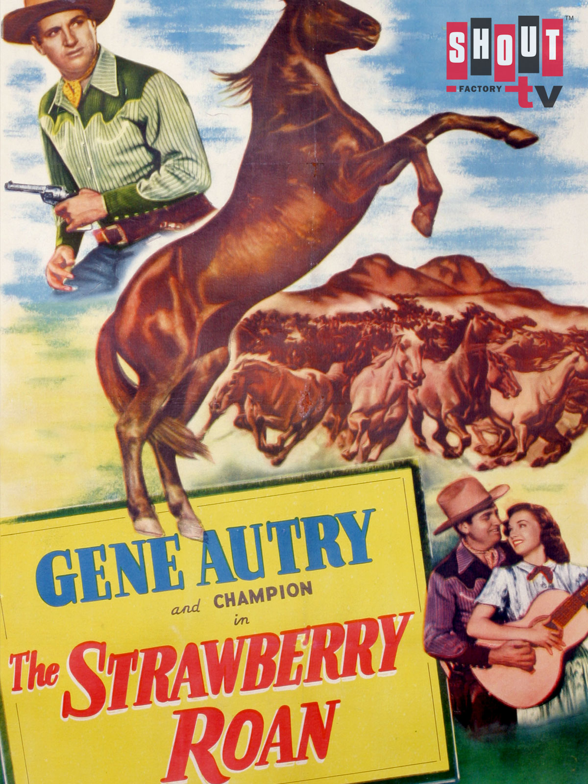 Prime Video The Strawberry Roan