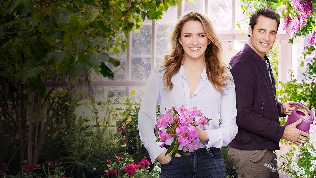 Watch Love Blossoms Prime Video