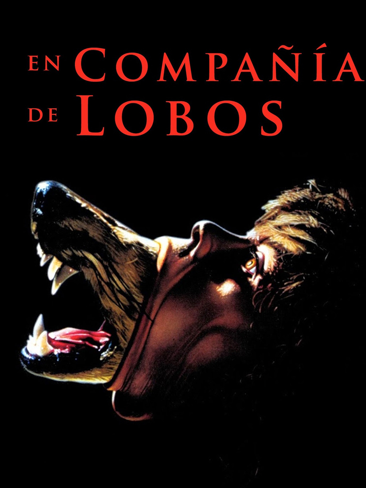 Prime Video The Company of Wolves