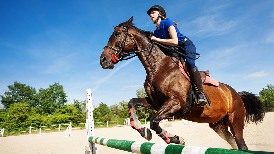 Prime Video Carolina S Pferdewelt Der Traum Vom Reiten