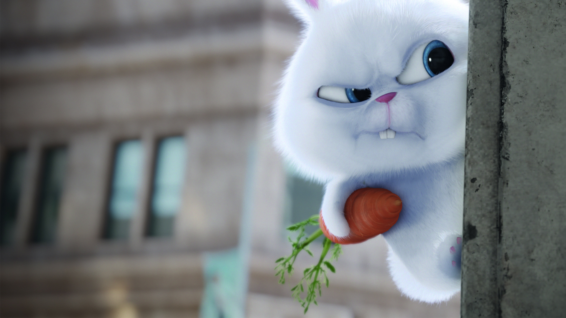 Amazon Com Watch The Secret Life Of Pets Prime Video