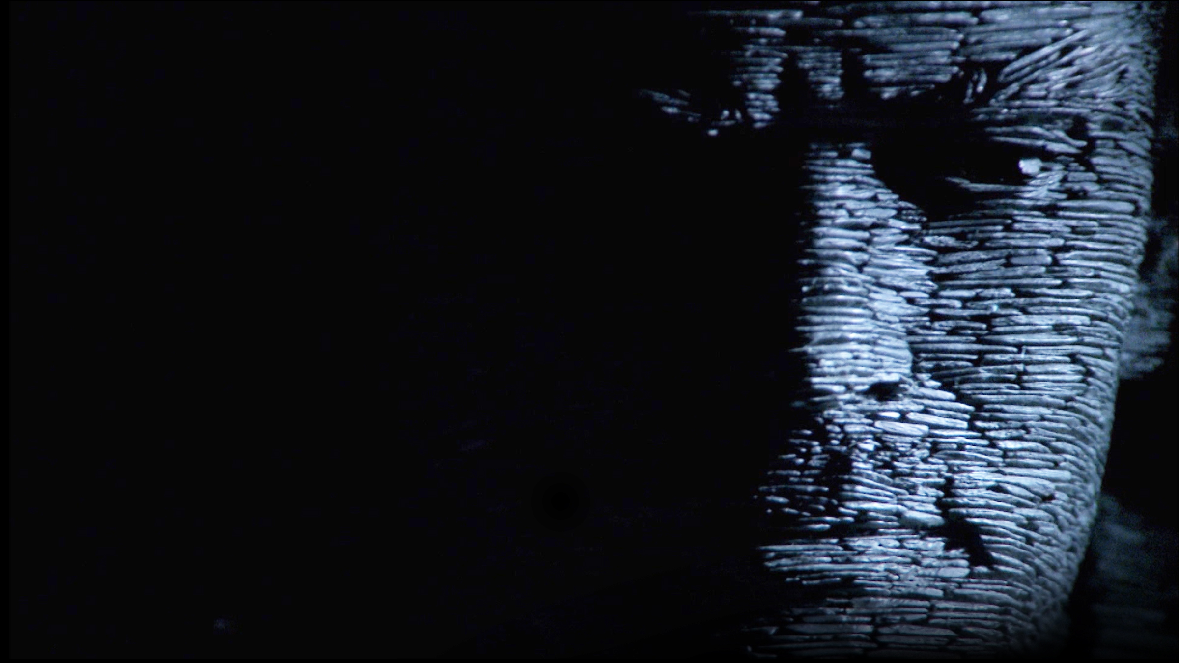 Watch The Secret Life Of Chaos Prime Video