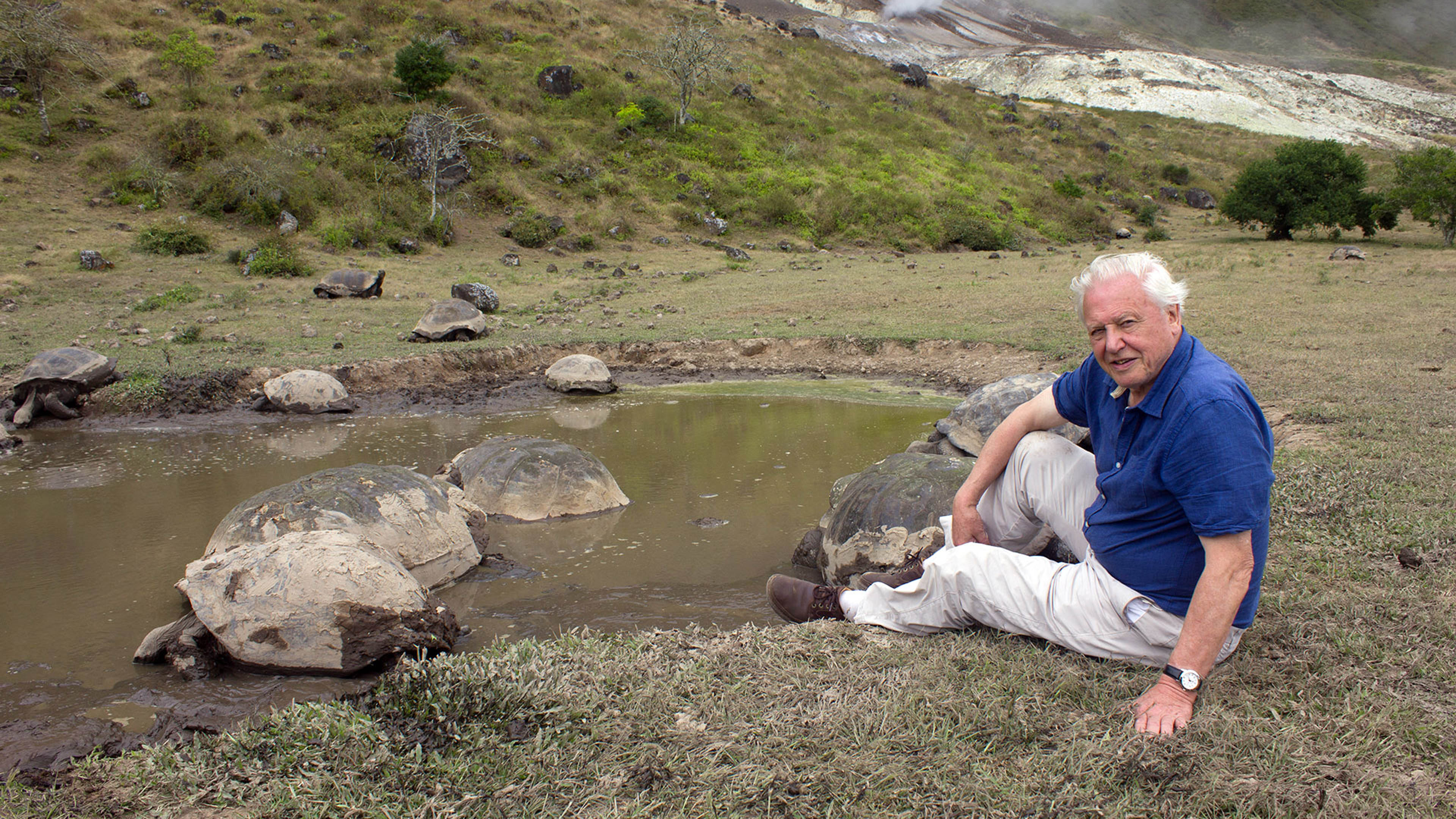 Prime Video Galapagos with David Attenborough