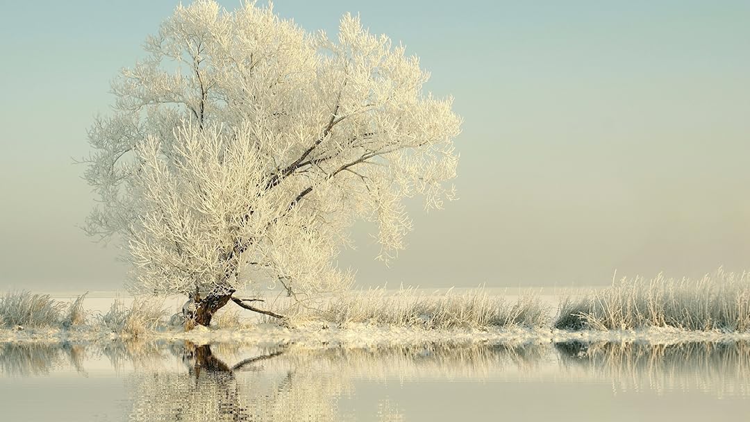 Watch Four Seasons - Vivaldi | Prime Video