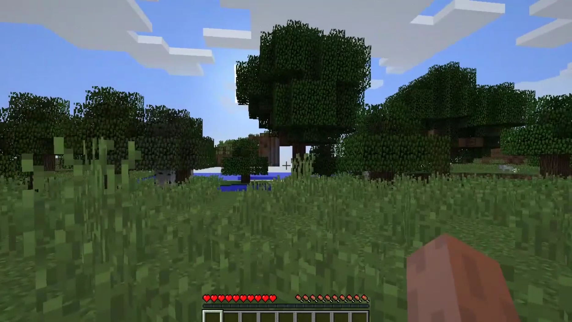 Amazon Co Jp ビデオクリップ Minecraft Lifeを観る Prime Video