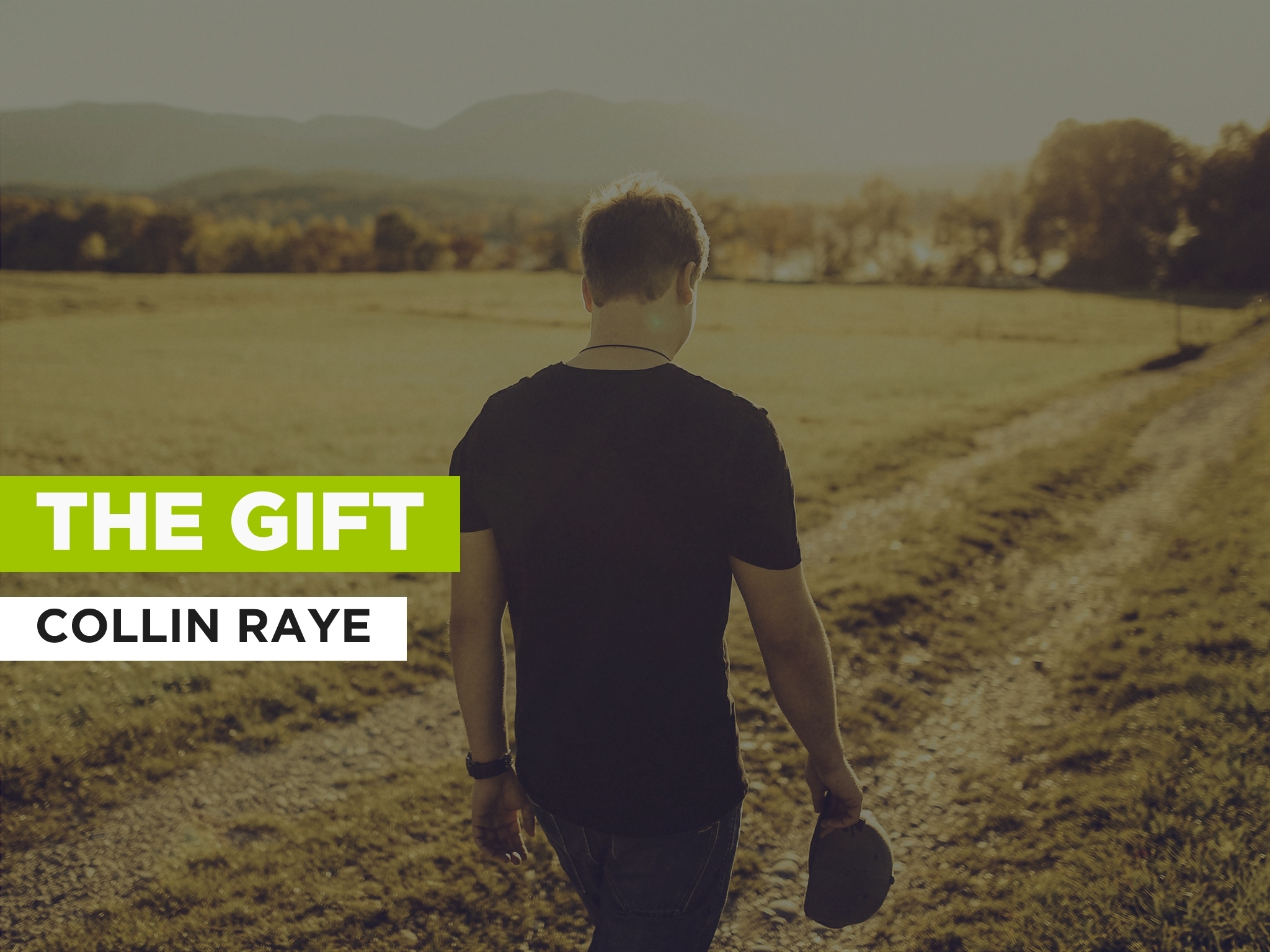 Prime Video: The Gift In The Style Of Collin Raye