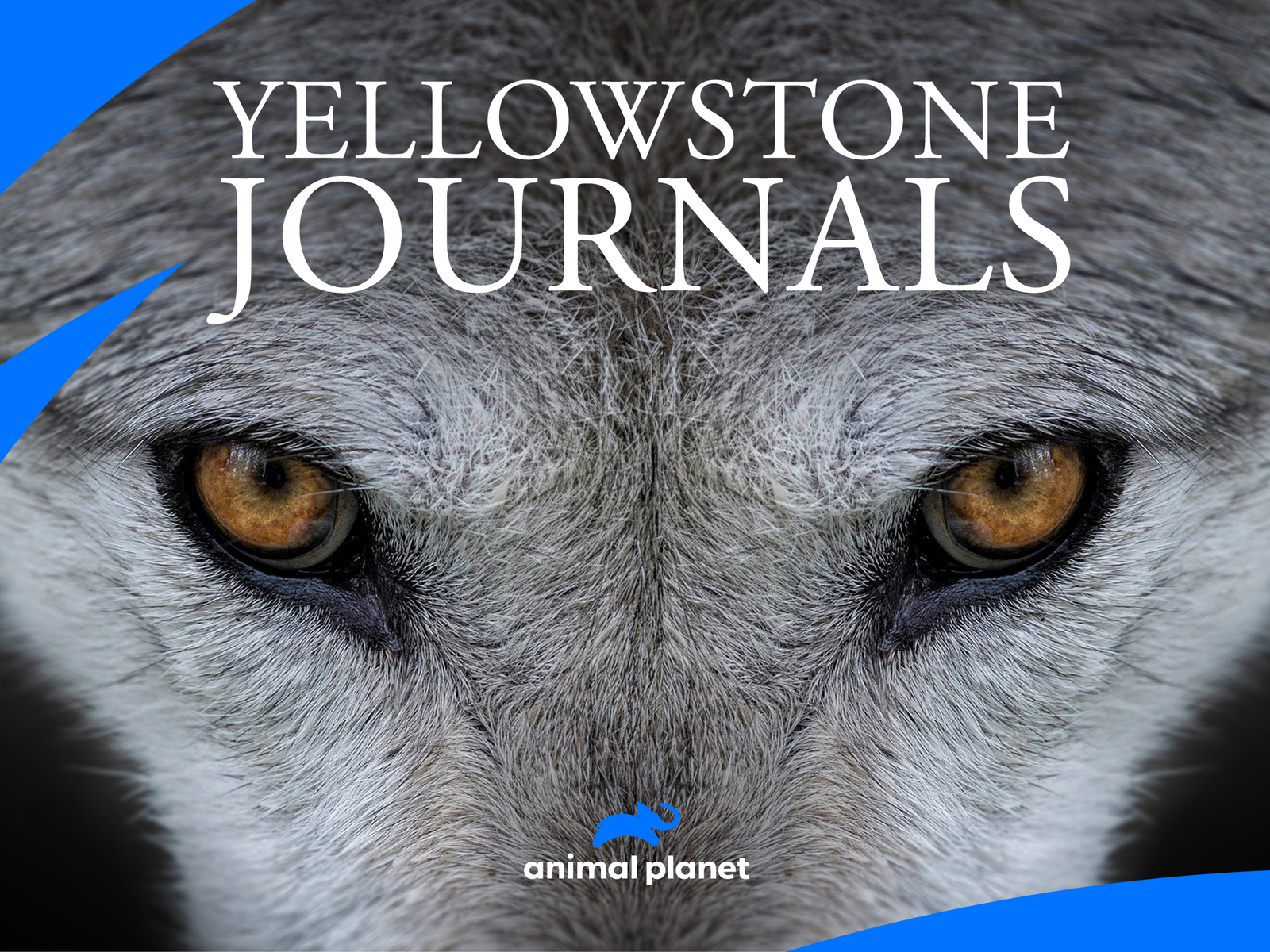 Prime Video Yellowstone Journals Season 1