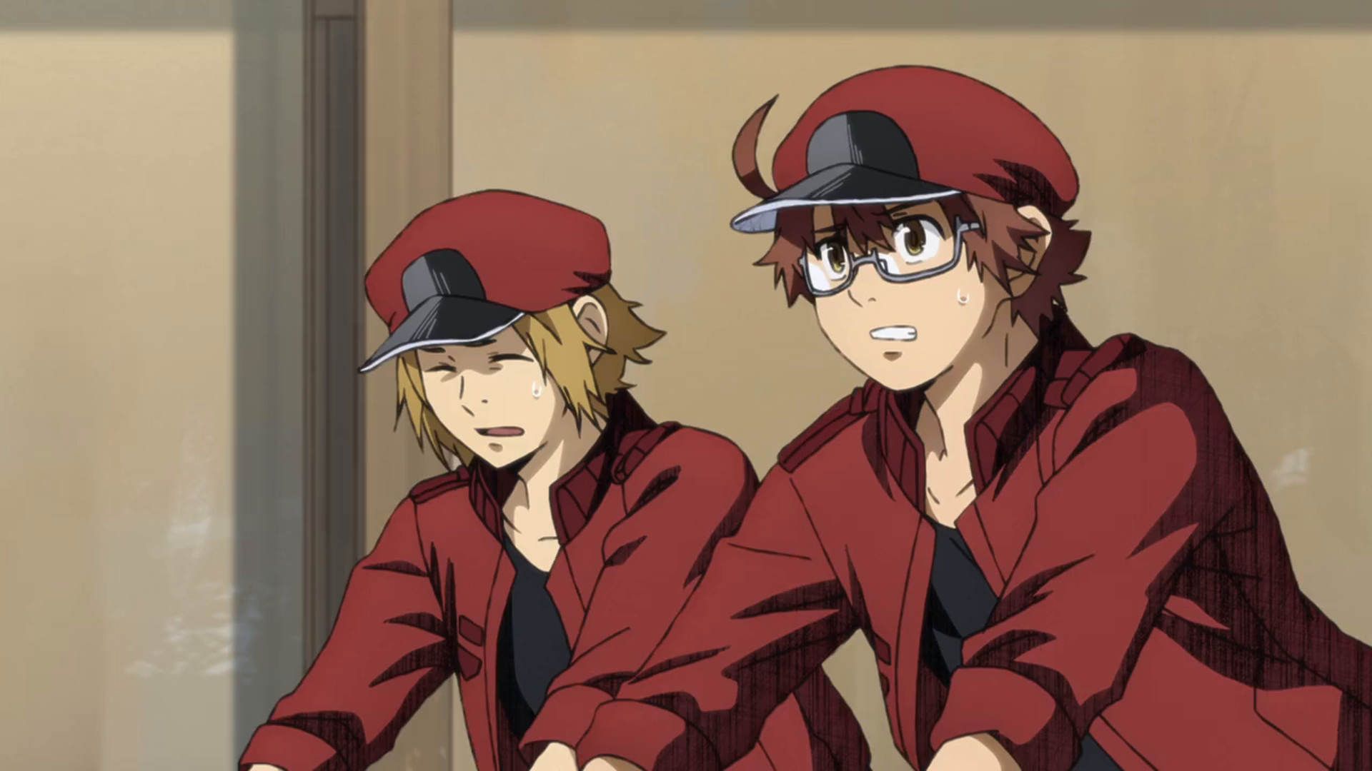 Amazon Co Jp はたらく細胞blackを観る Prime Video