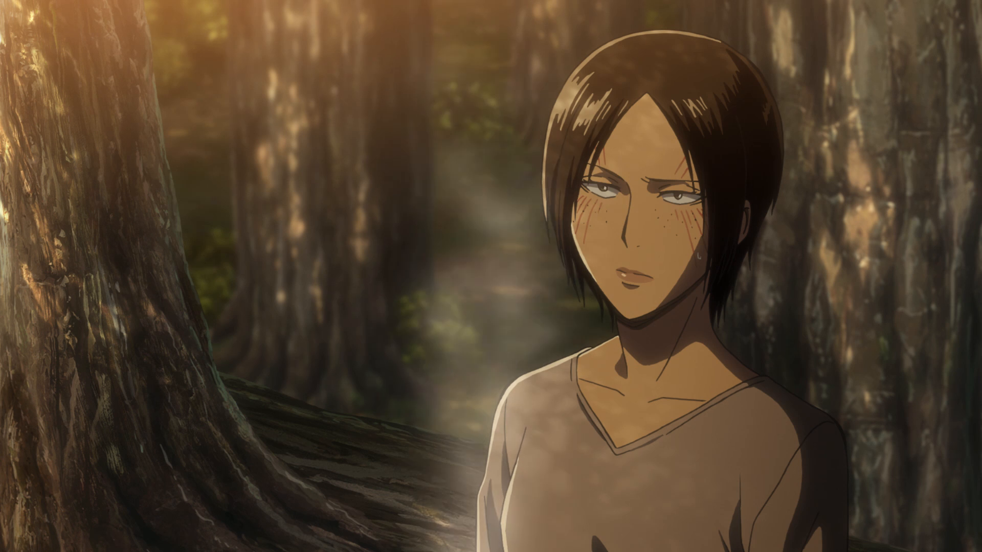 Attack On Titan Gebrüll Des Erwachens Amazon.de: Attack on Titan - Anime Movie Teil 3: Gebrüll des Erwachens