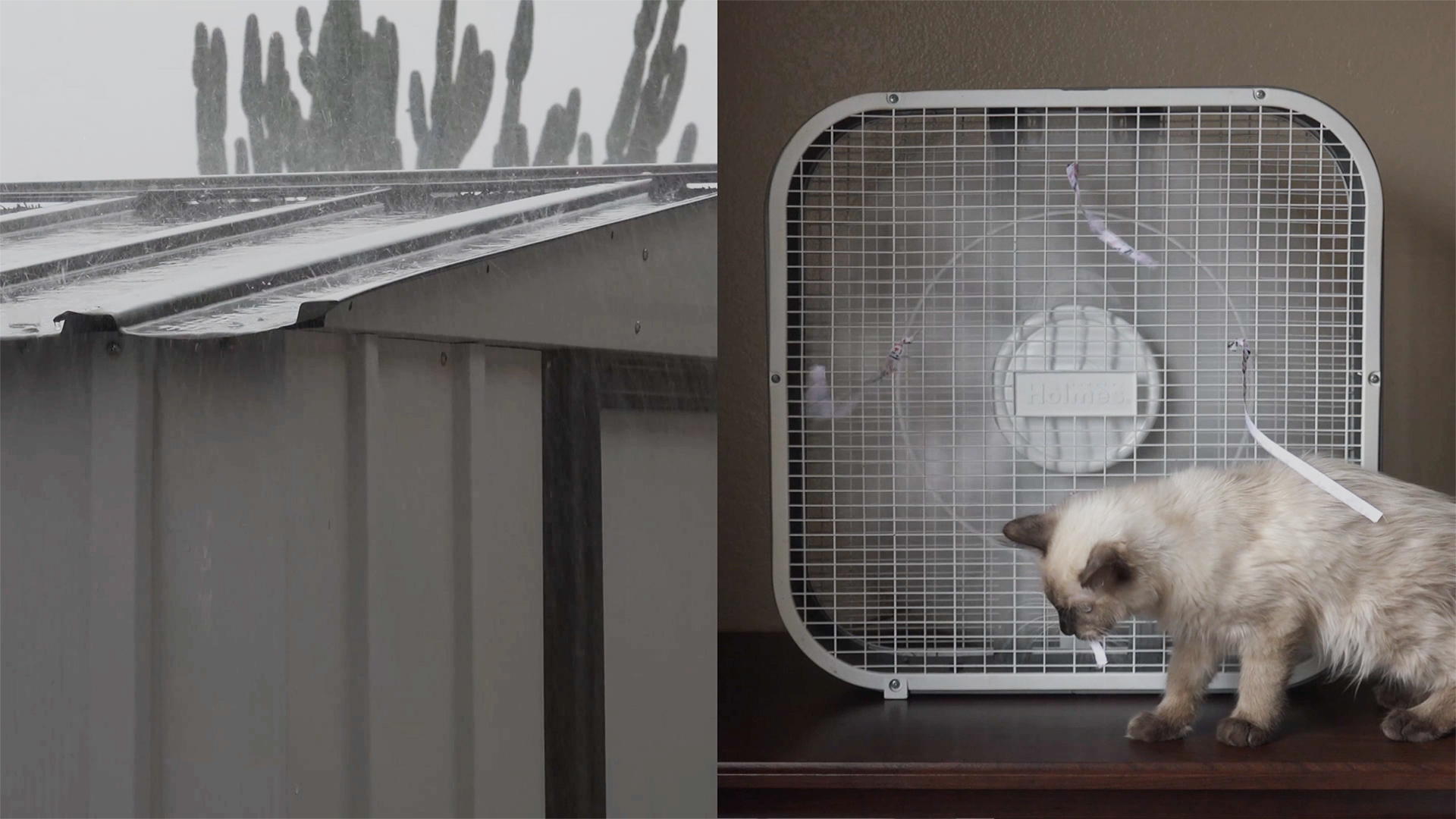 Box Fan and Rain 10 hours of Dark Screen Fan Sounds and