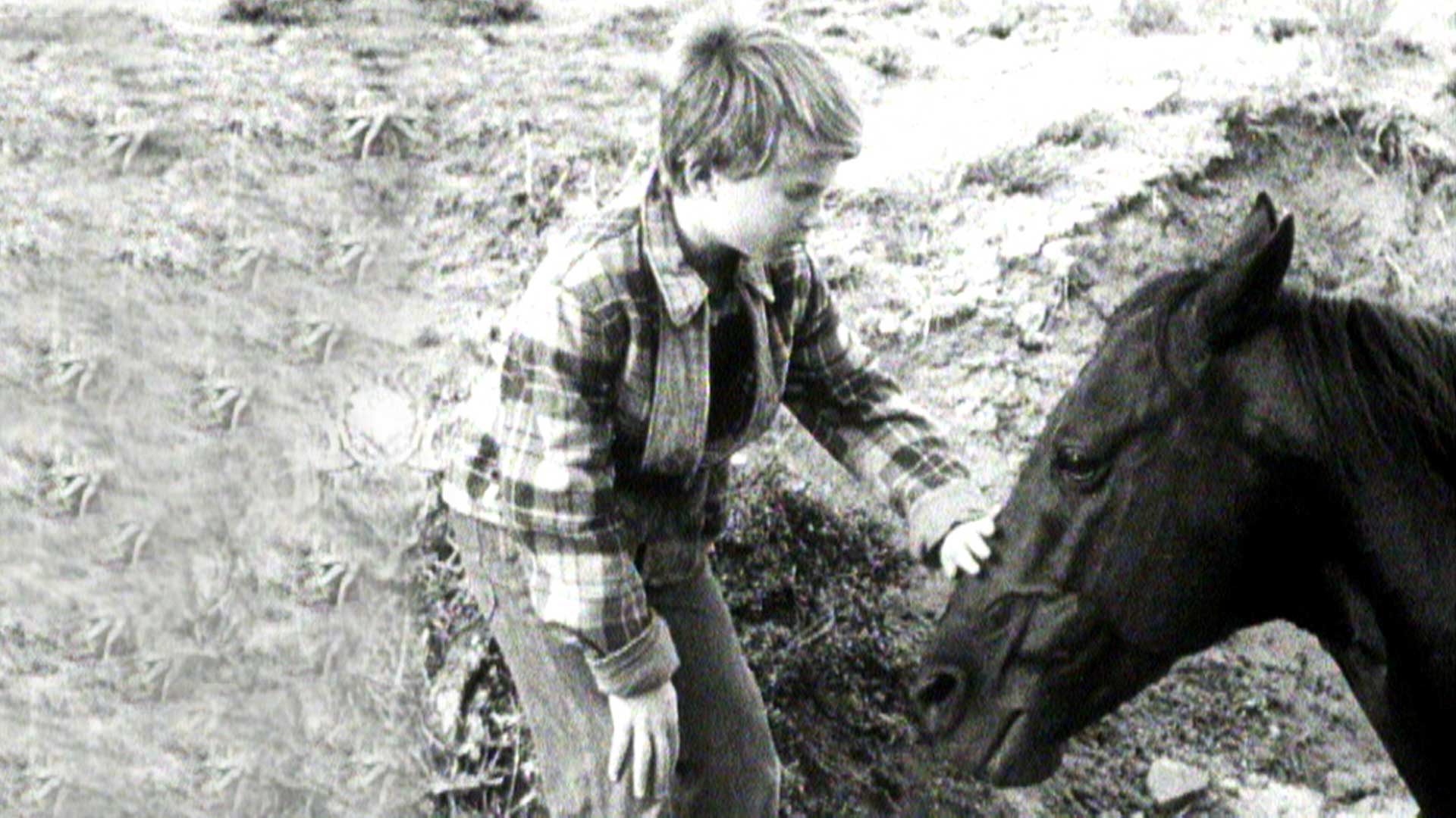 Prime Video Fury Die Abenteuer eines Pferdes