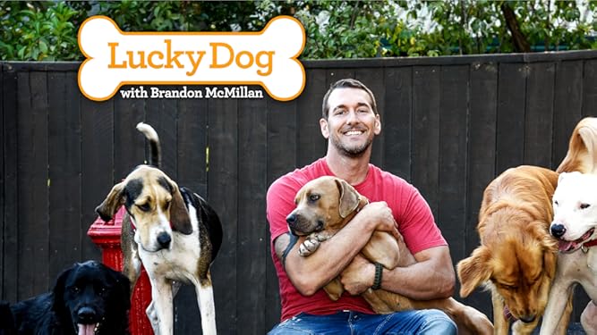 Watch Lucky Dog Prime Video