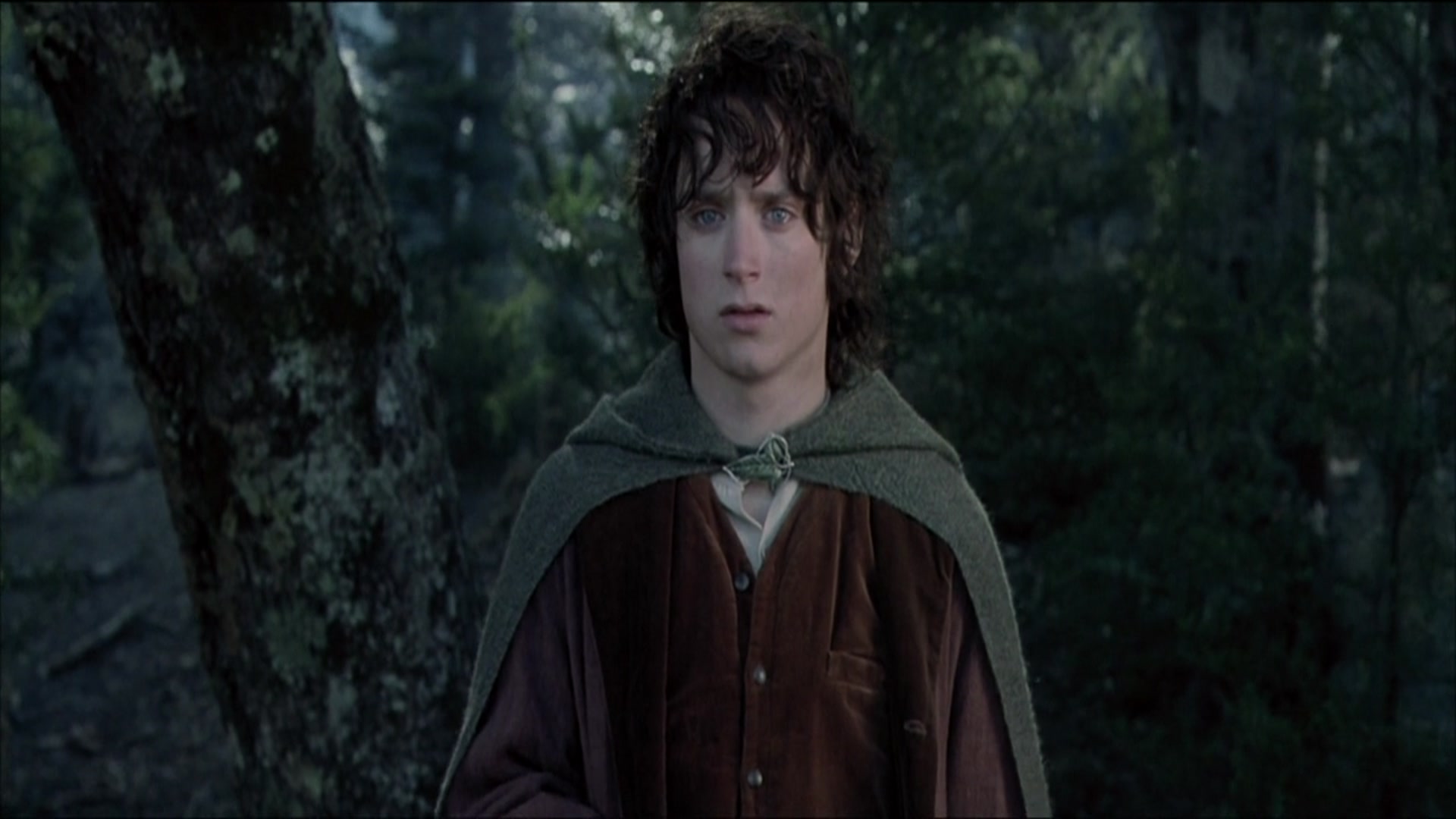 The Lord Of The Ring Prime Video Prime Video: The Lord of the Rings: The Fellowship of the Ring