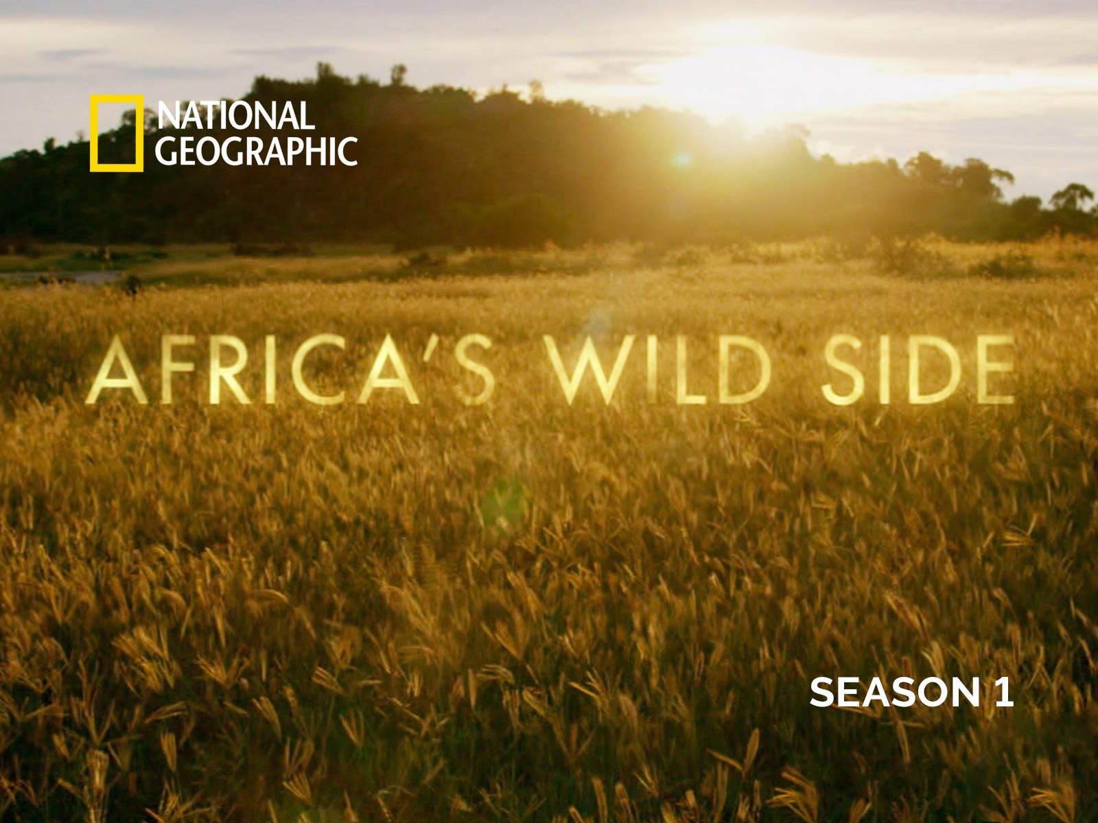 Prime Video Africa's Wild Side Season 1
