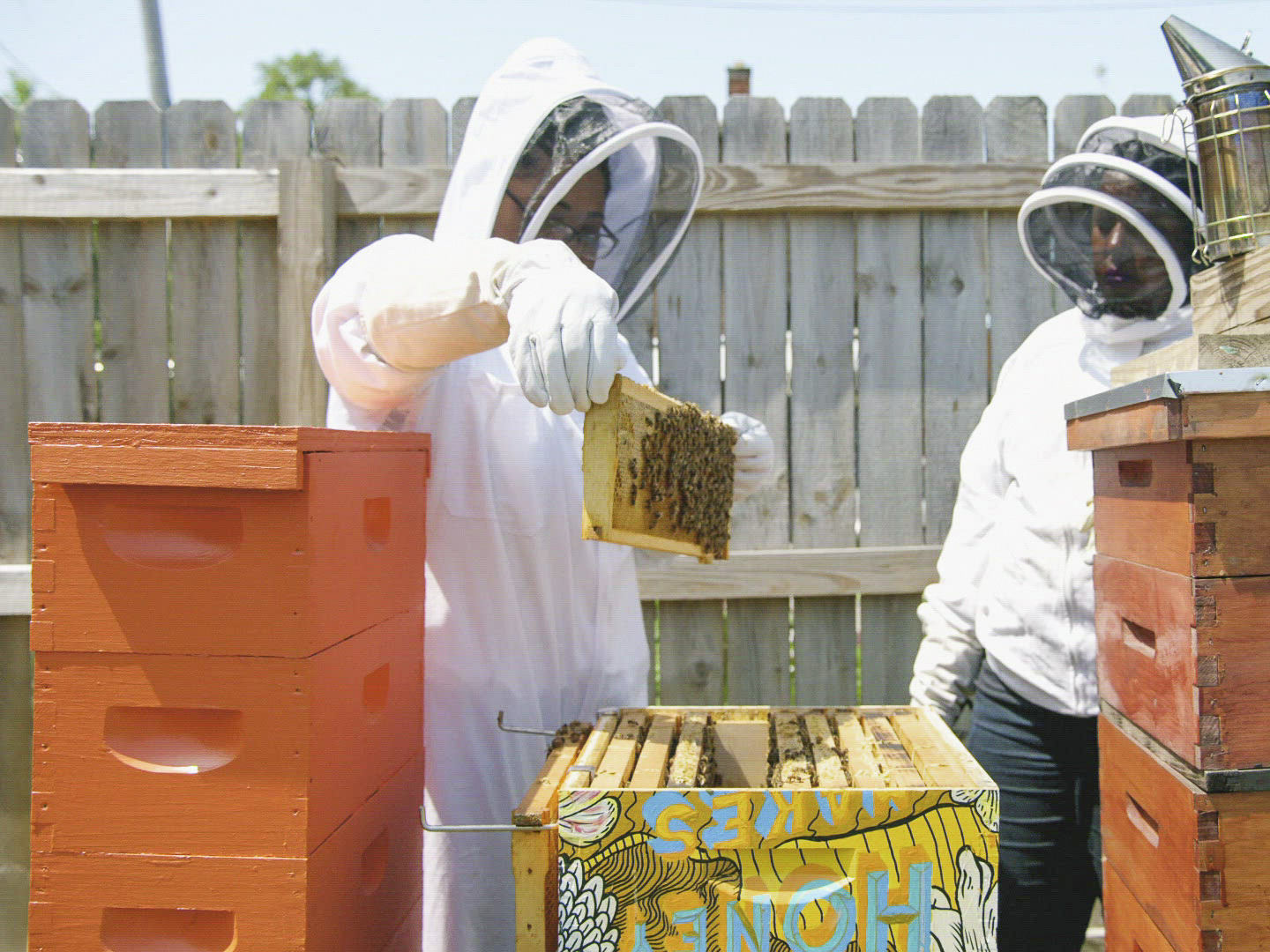 Prime Video Crash Test World Season 1