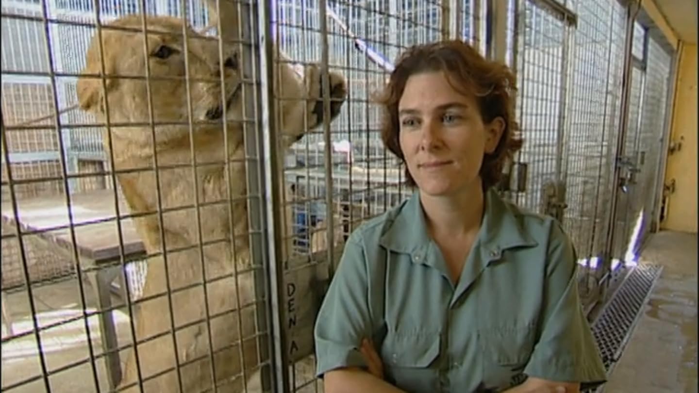 Watch Animal Face Off Season 1 Prime Video