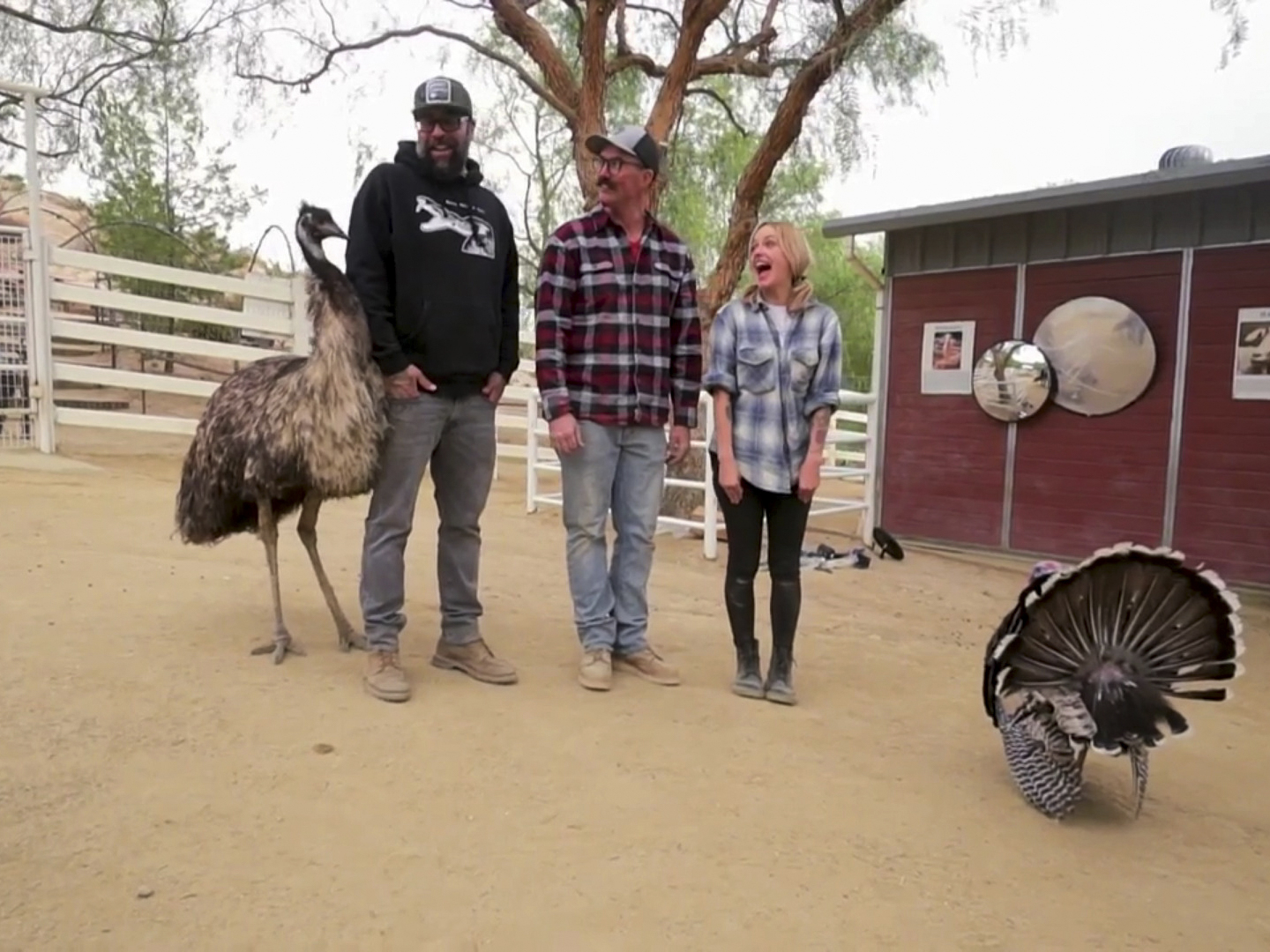 Prime Video Animal Cribs Season 2