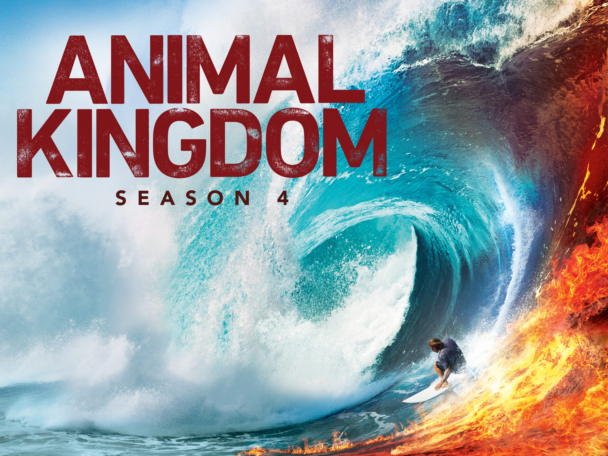 Prime Video Animal Kingdom Season 4