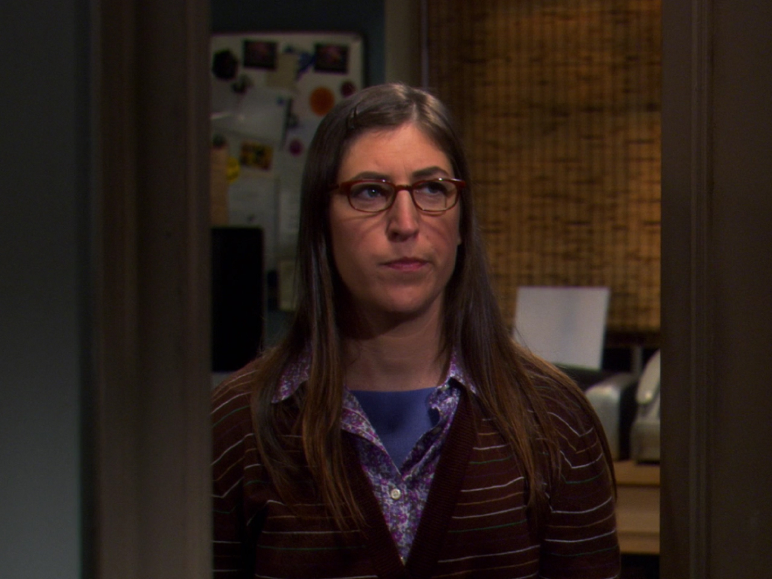 Prime Video The Big Bang Theory Season 5