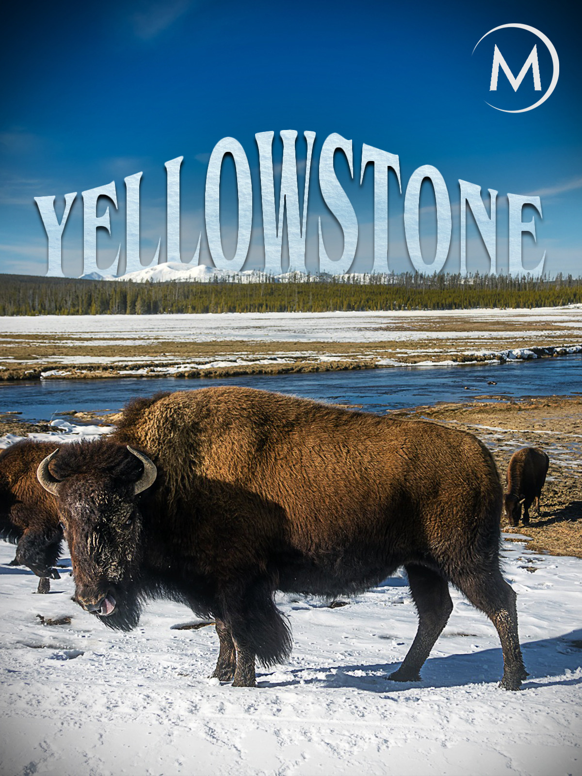Prime Video Yellowstone