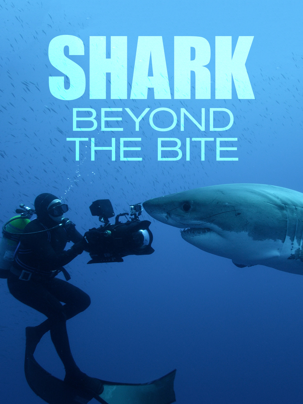 Beyond The Drama: The Real Story Of The Sharkbae Leaks - uxa6d60