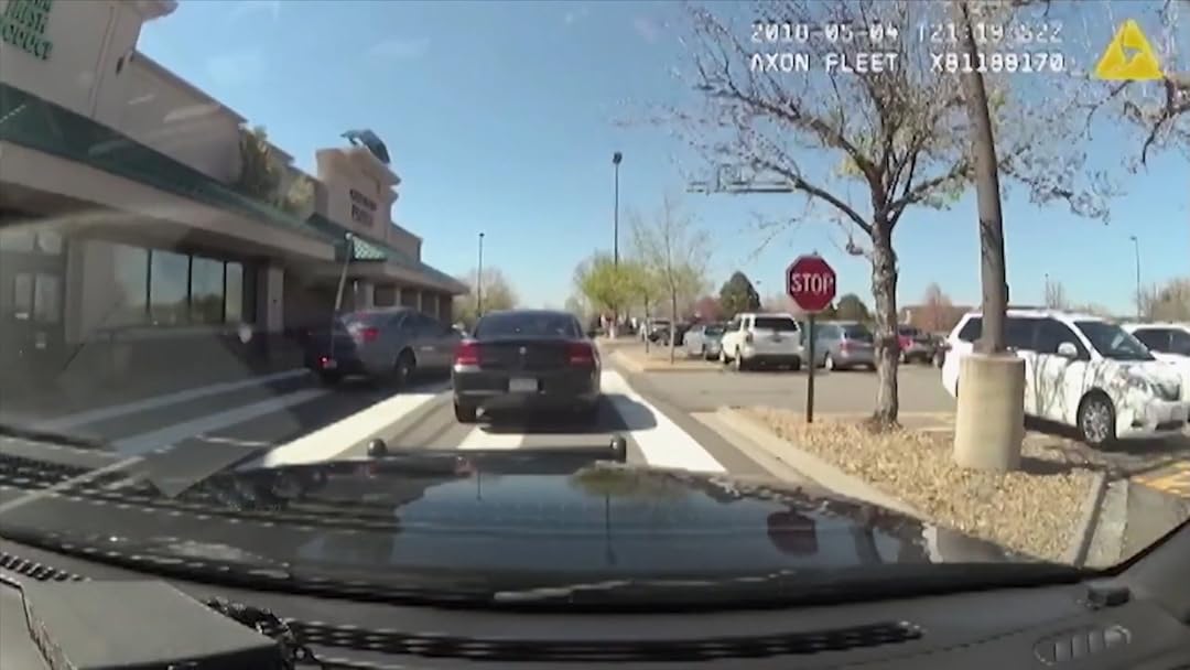 Amazon Co Jp 密着 アメリカ警察24時を観る Prime Video