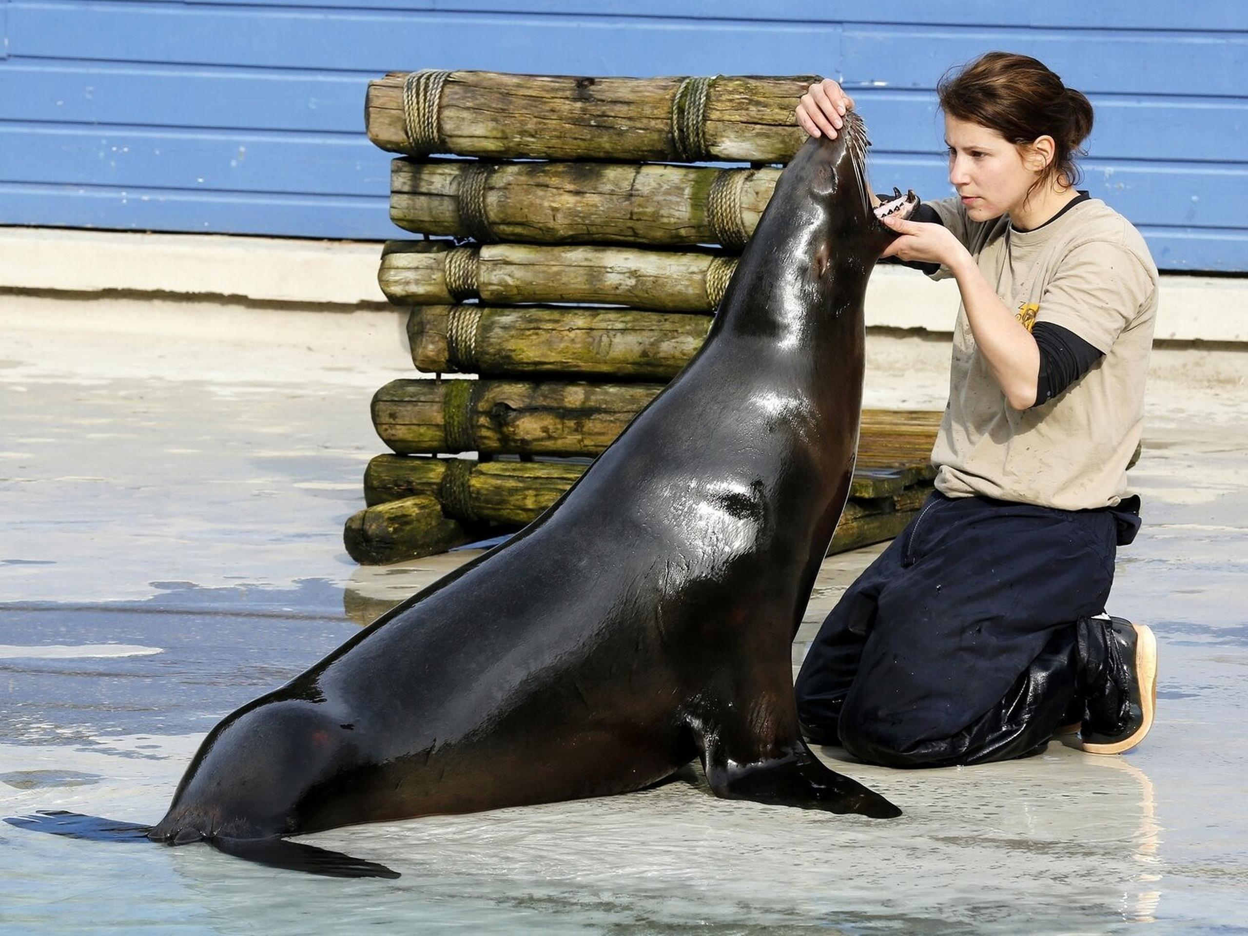 Prime Video: Une saison au zoo - Saison 14